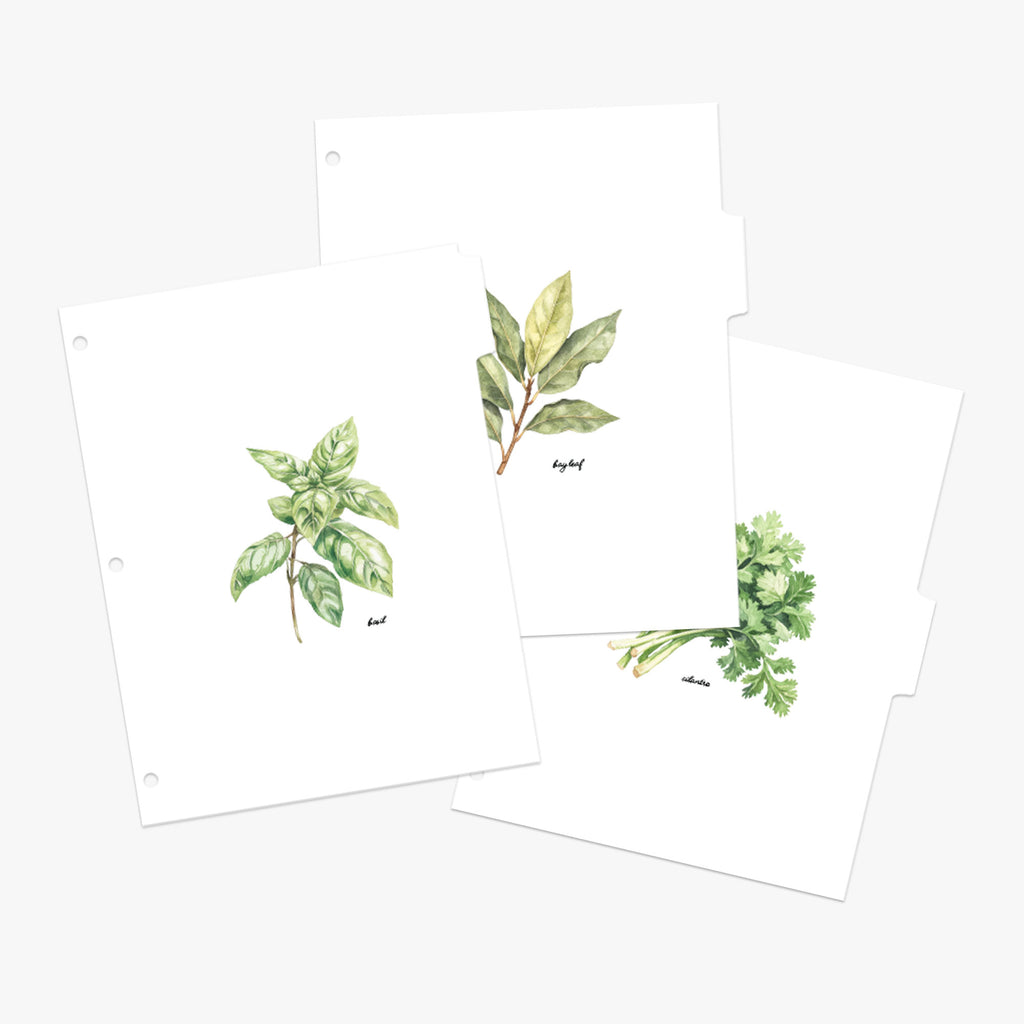 Set of recipe tab dividers featuring watercolor illustrations of cooking herbs on a white background