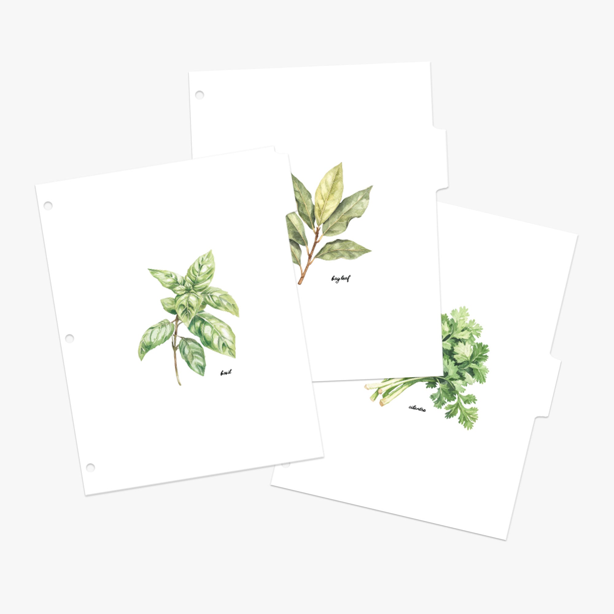 Set of recipe tab dividers featuring watercolor illustrations of cooking herbs on a white background