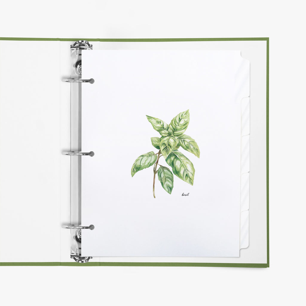 Open binder with a tab divider set featuring a basil illustration on a white background