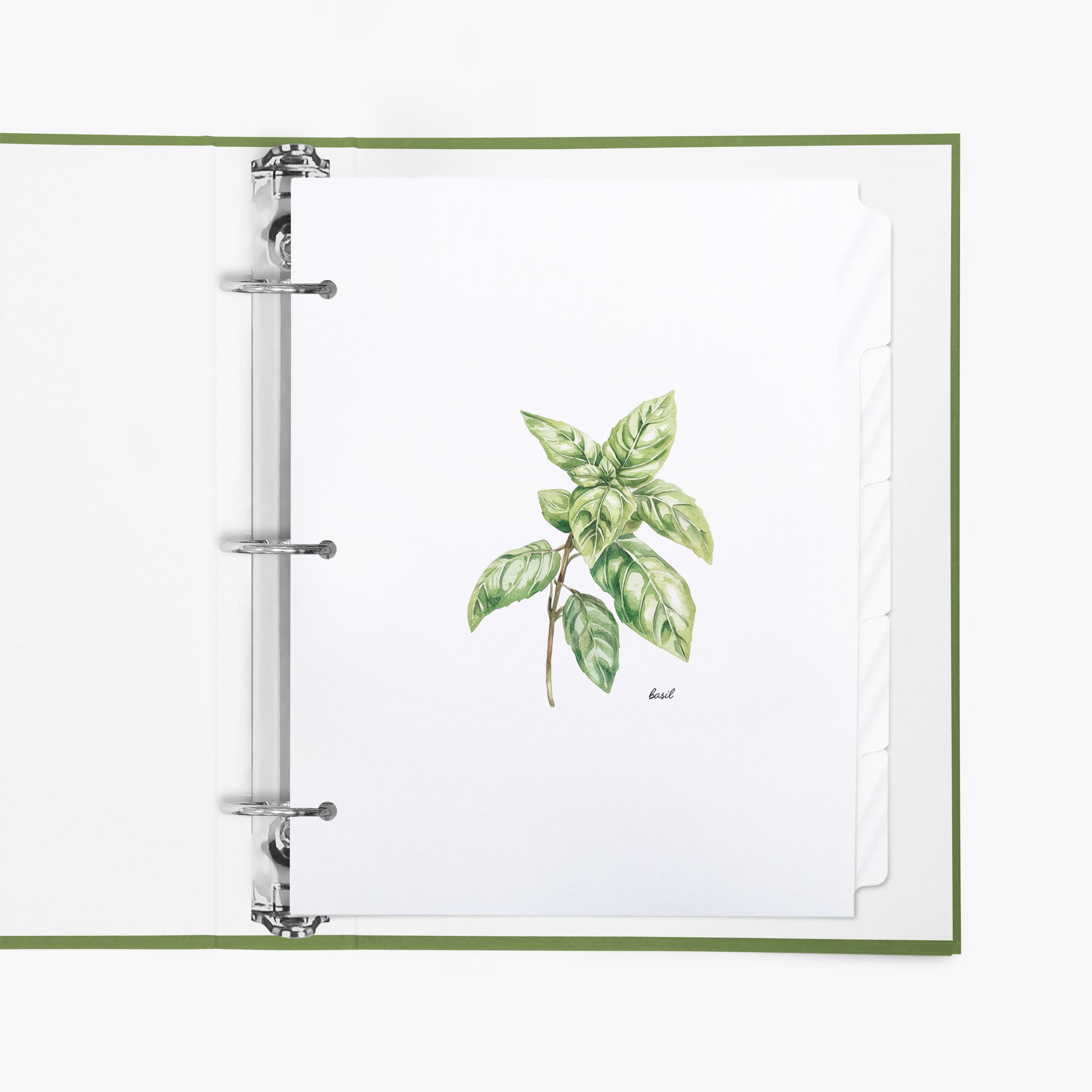 Open binder with a tab divider set featuring a basil illustration on a white background