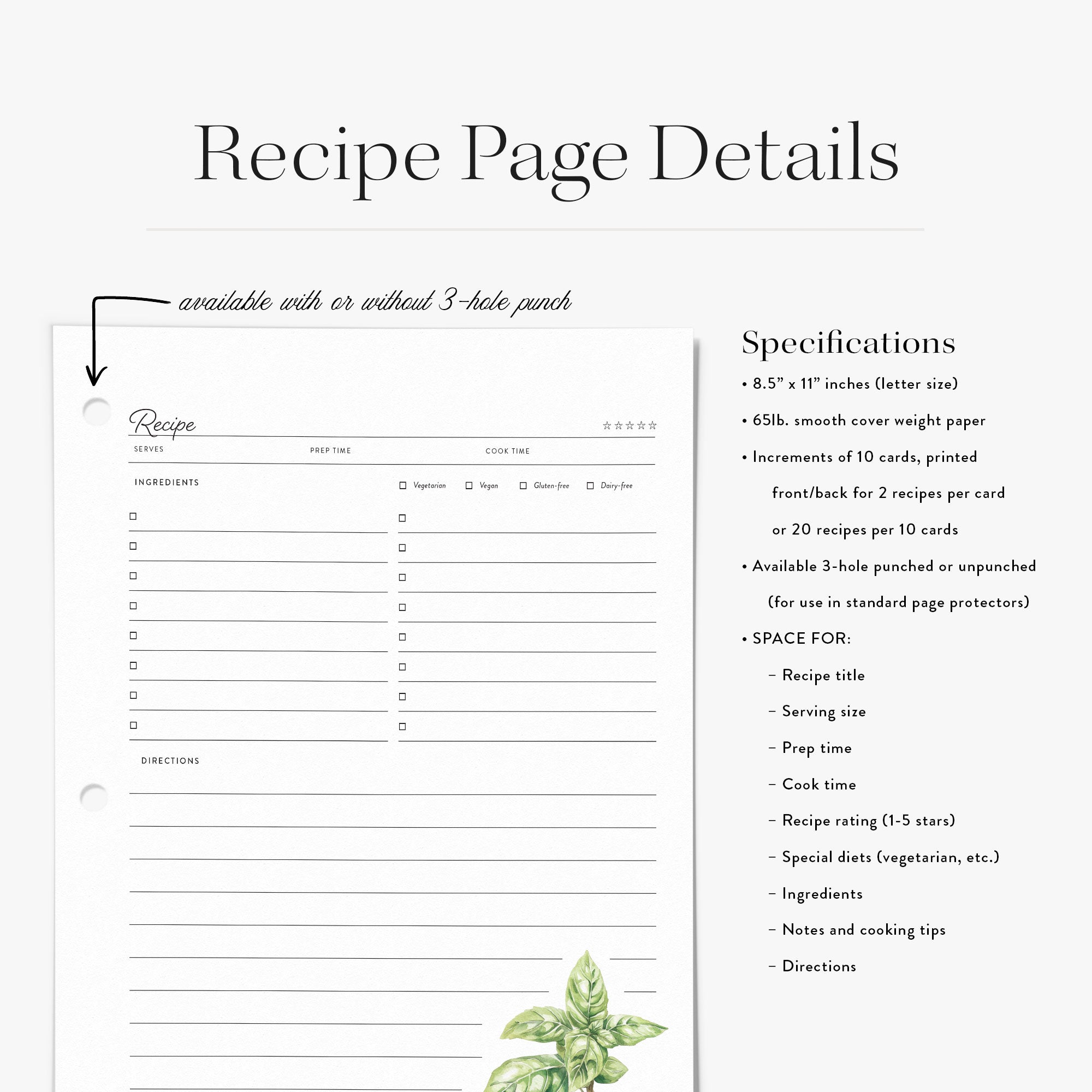 Recipe binder refill page with savory herb design and specifications on a white background