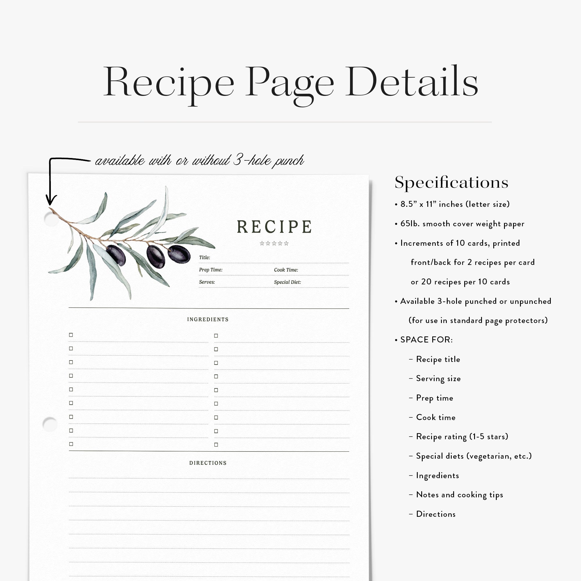 Recipe Binder Refill Pages - Olive Bunch