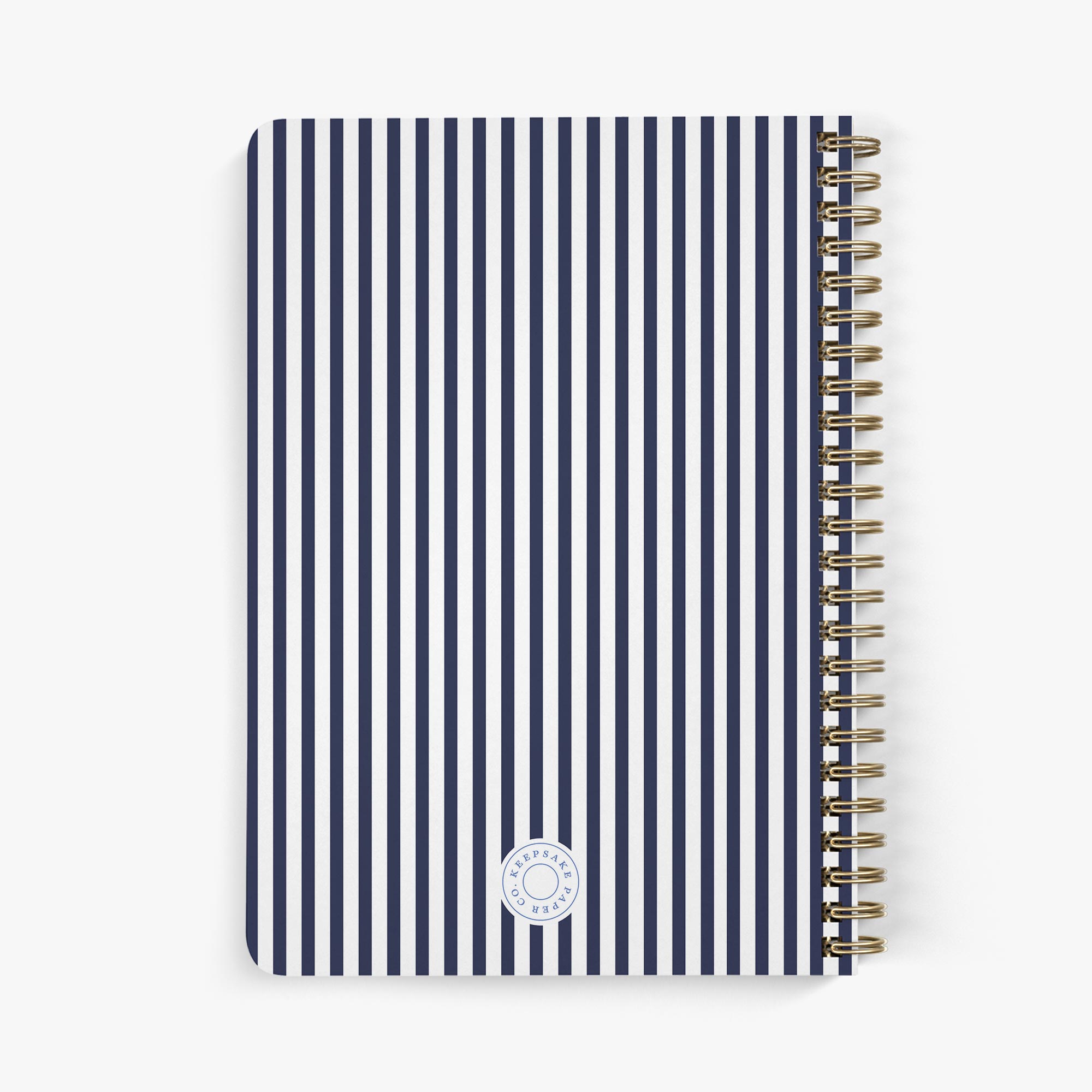 Needlepoint Journal - Summer Stripe