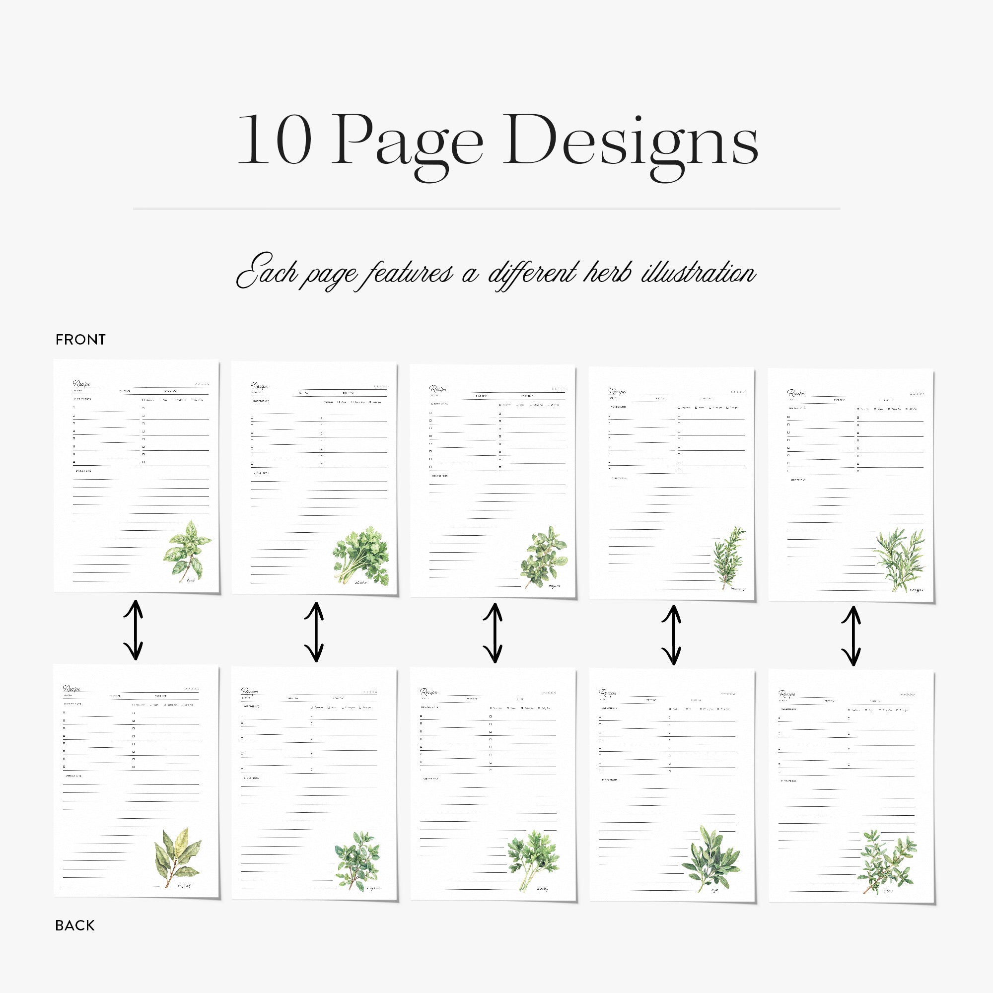 10 recipe card page designs with cooking herb illustrations on a white background