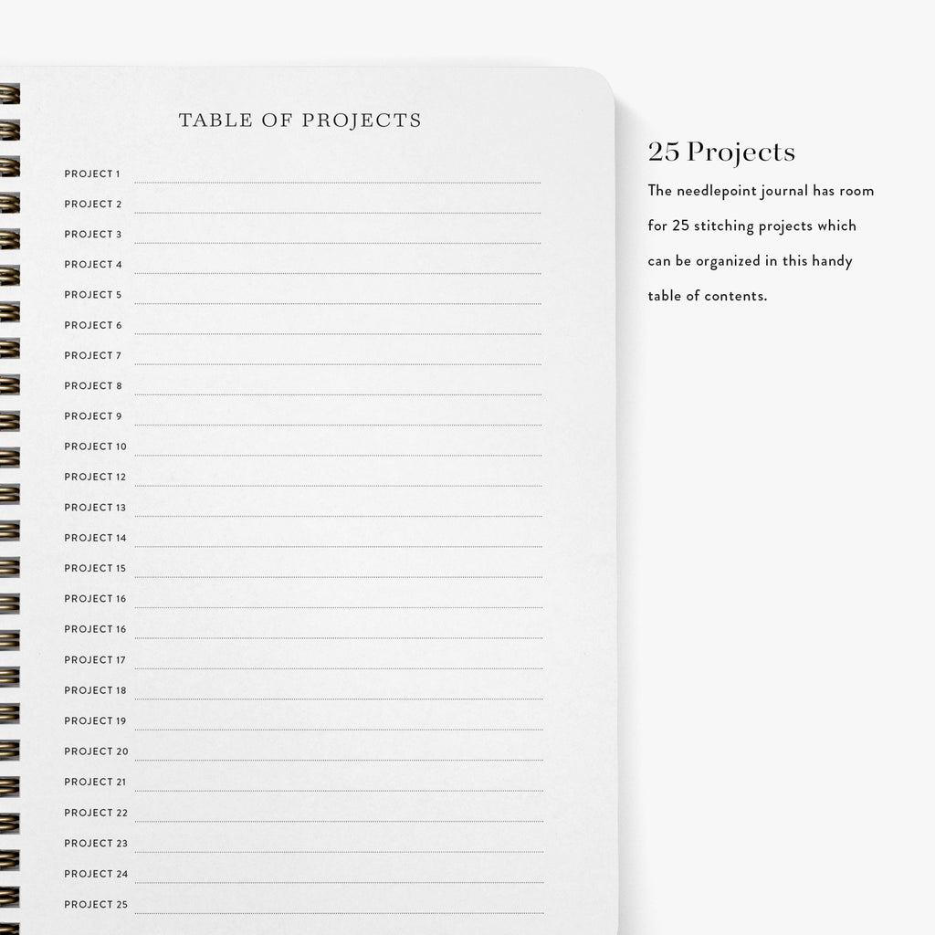 Table of projects for a needlepoint journal with a list of 25 projects on a white background.