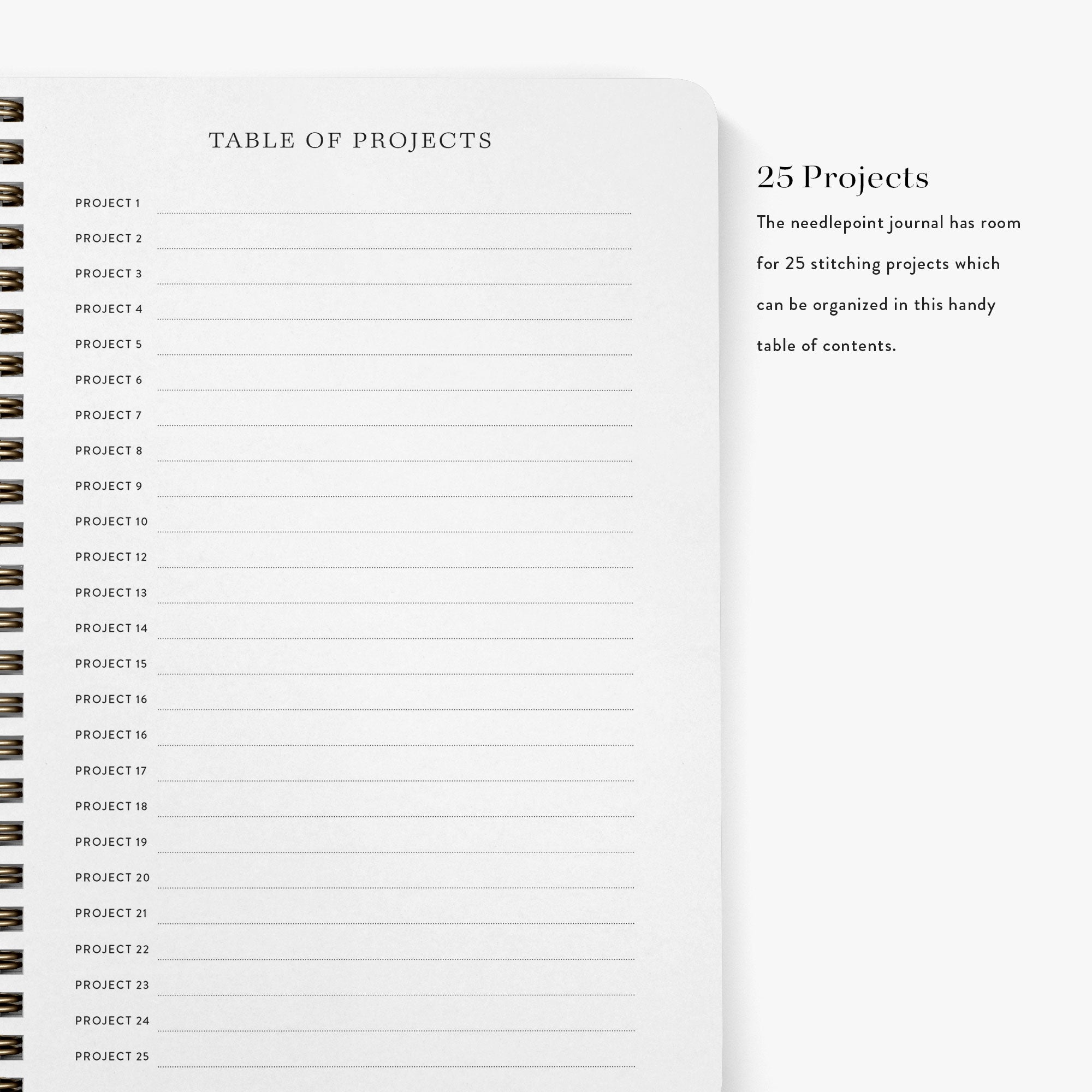 Table of projects for a needlepoint journal with a list of 25 projects on a white background.